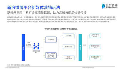 2020年中國(guó)新媒體營(yíng)銷策略白皮書 微夢(mèng)營(yíng)銷的戰(zhàn)略與實(shí)踐洞察